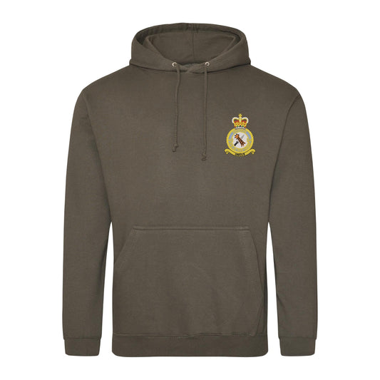 48 Squadron RAF Regiment Hoodie
