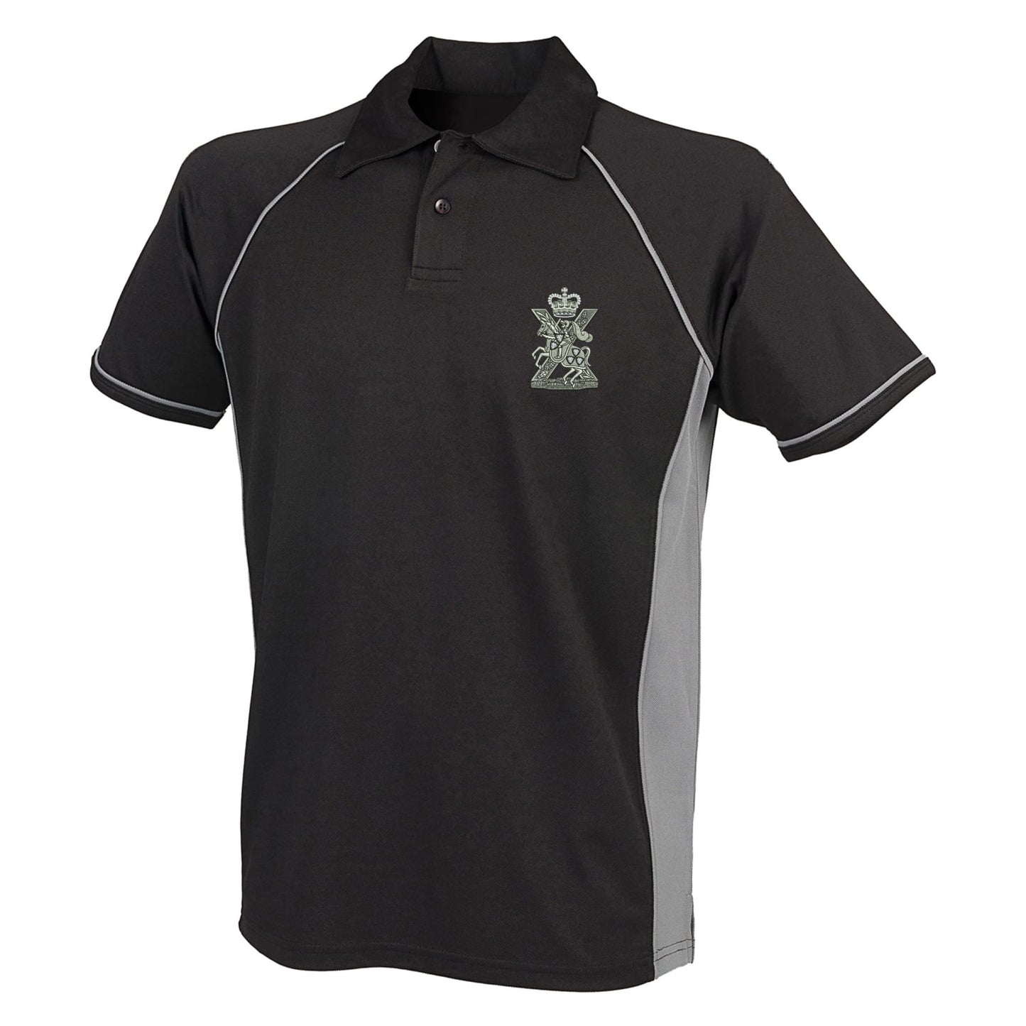 Fife and Forfar Yeomanry-Scottish Horse Performance Polo