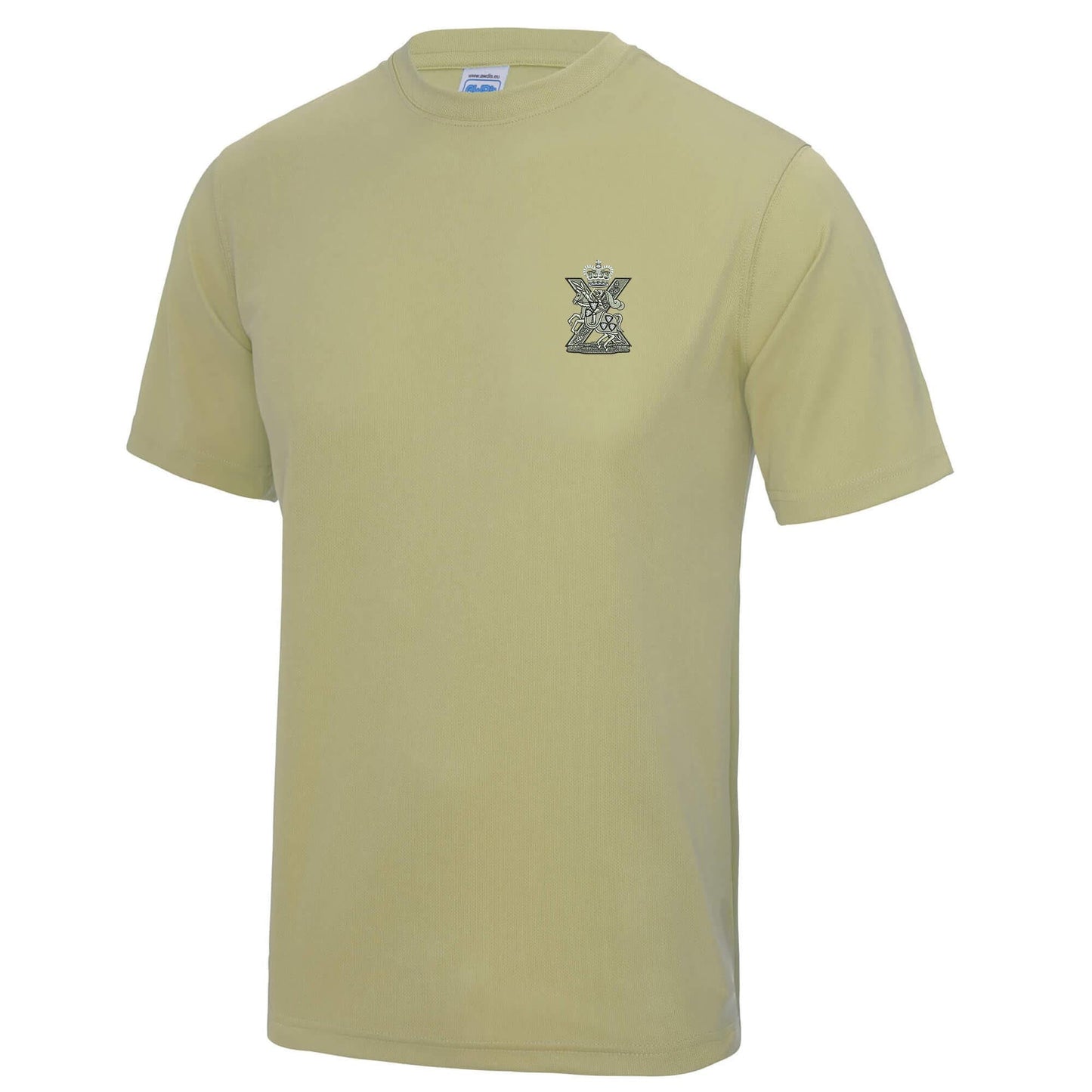 Fife and Forfar Yeomanry-Scottish Horse Polyester T-Shirt