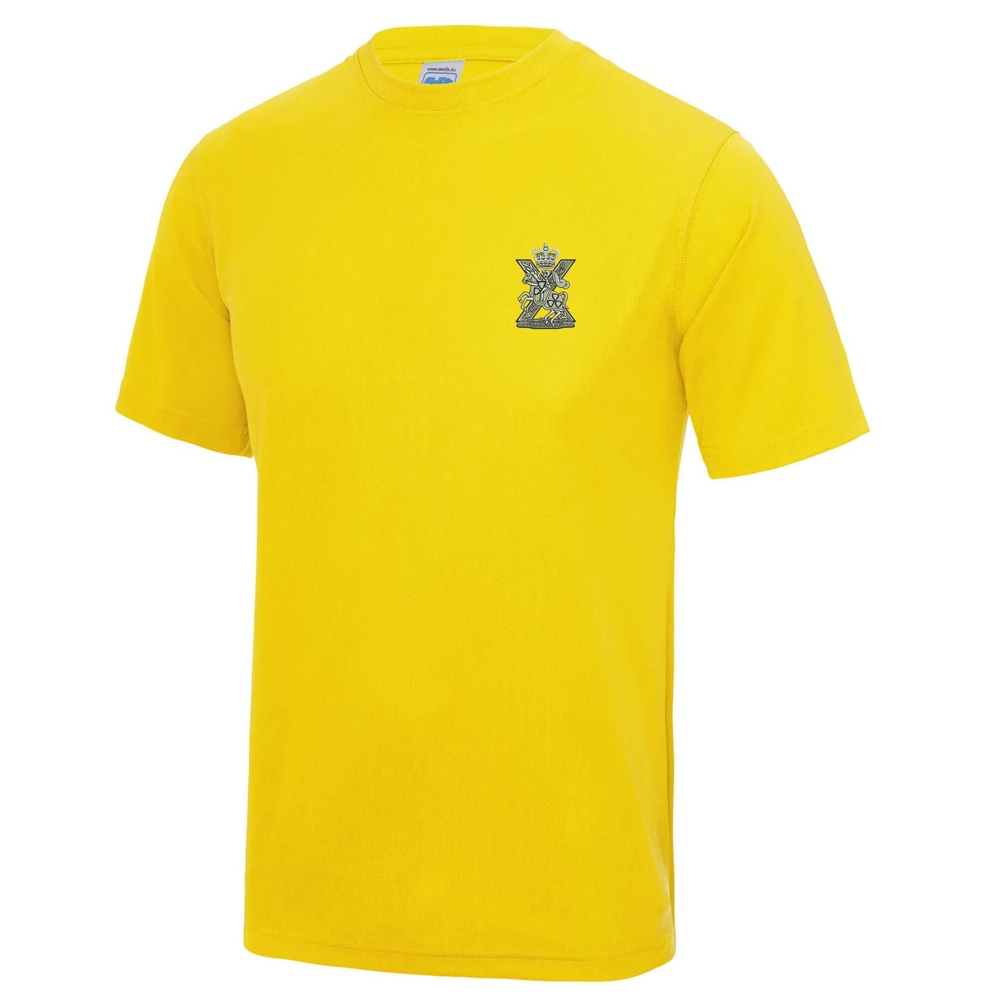 Fife and Forfar Yeomanry-Scottish Horse Polyester T-Shirt