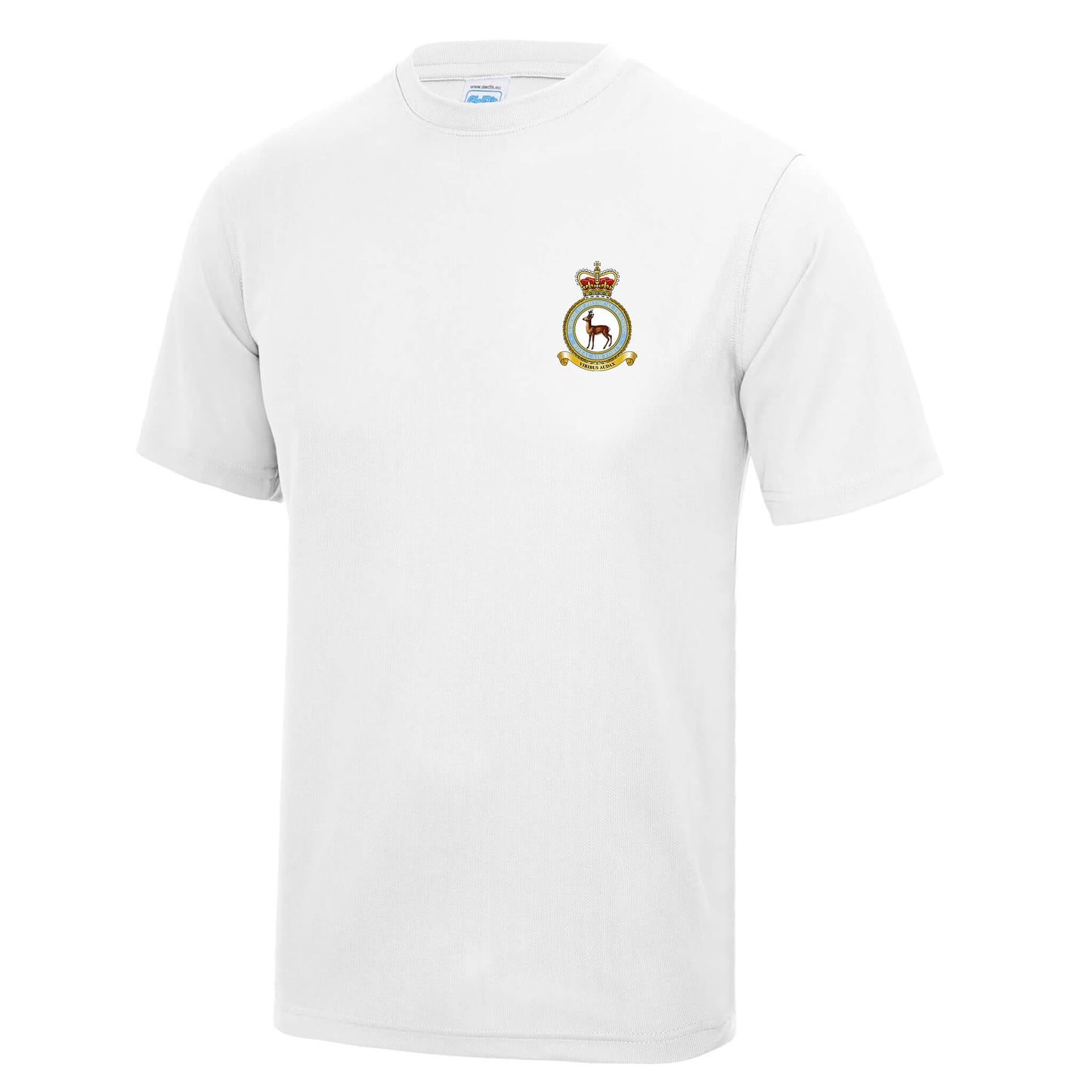 RAF School of Physical Training Polyester T-Shirt