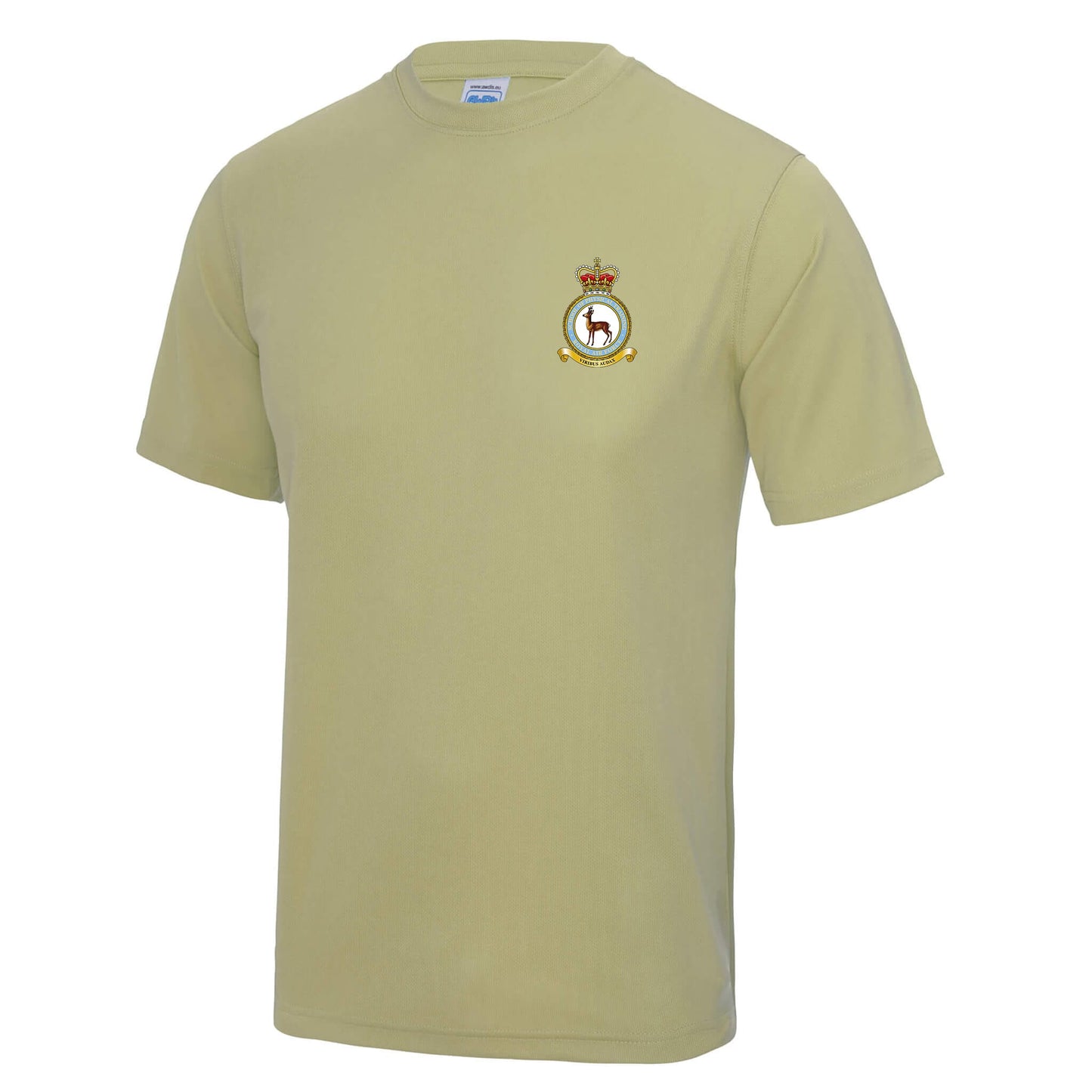 RAF School of Physical Training Polyester T-Shirt