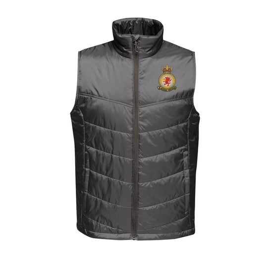 RAF Valley Insulated Bodywarmer