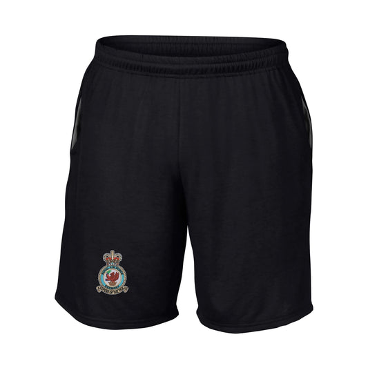 Royal Air Force Germany Performance Shorts