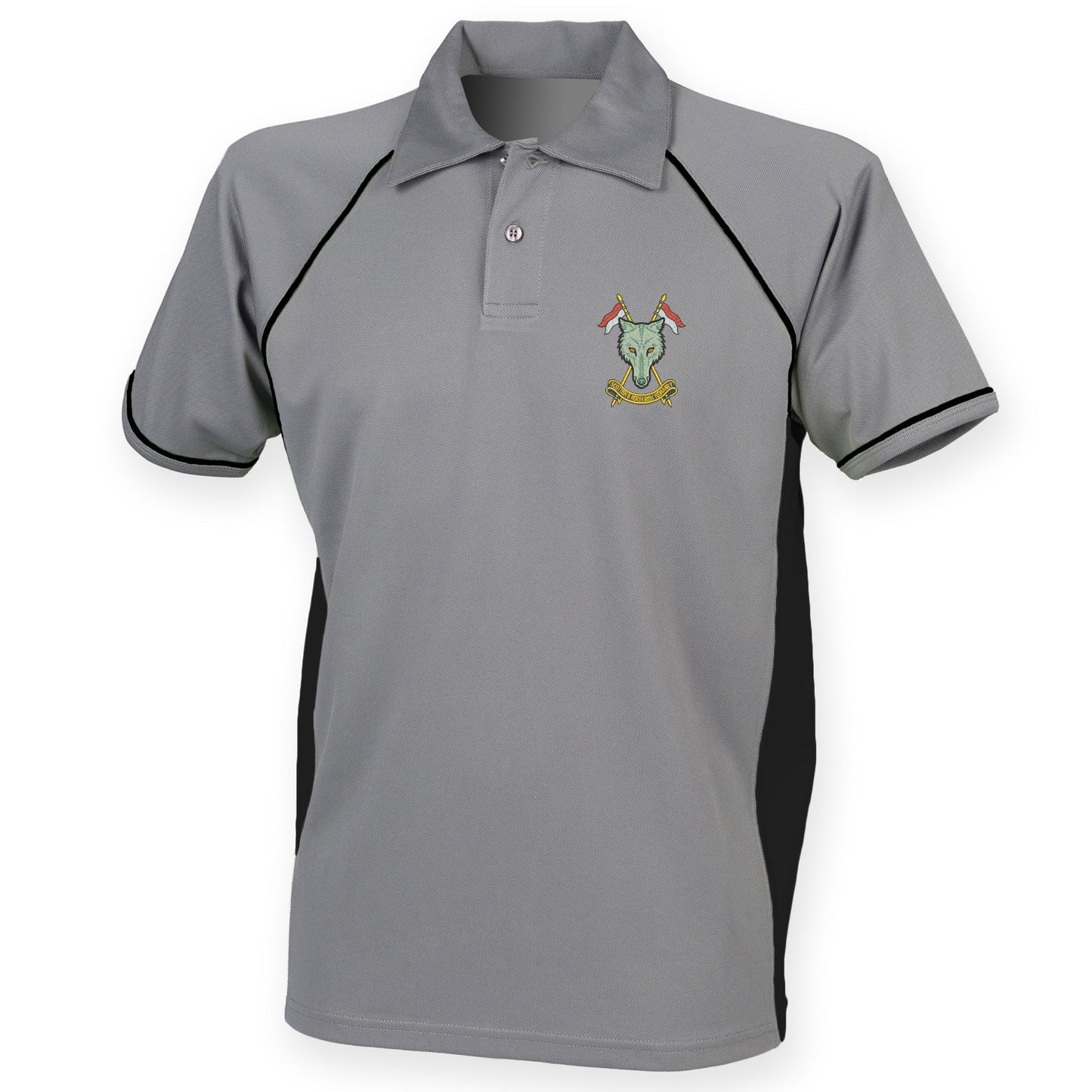 Scottish and North Irish Yeomanry Performance Polo